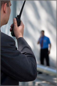 Delray Security Consultants Inc.